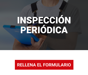 inspección periódica